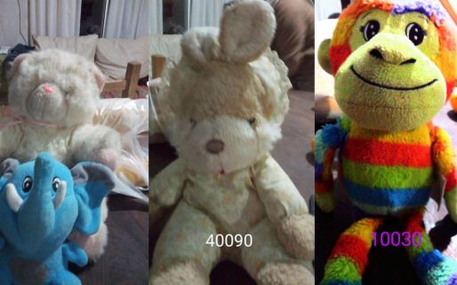 Tiene 7 años y vende sus peluches para ayudar a su hermano: “Quiero que sea feliz”