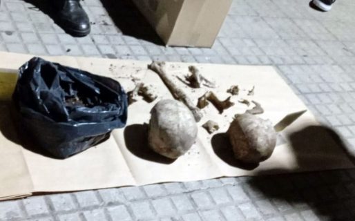 Macabro hallazgo: iban a plantar en su jardín y encontraron dos cráneos enterrados