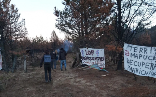 La Justicia ordenó la restitución de las propiedades usurpadas por mapuches