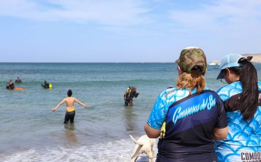 Comodoro Turismo acompañó una nueva jornada de fondos limpios en Caleta Córdova