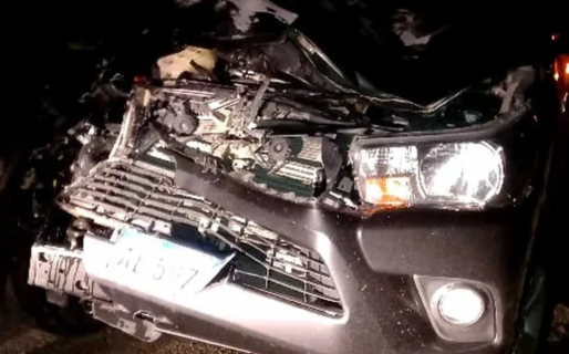 Impactante choque contra un caballo suelto en la Ruta 26