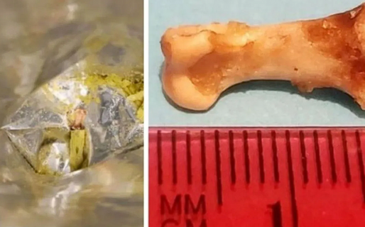 Comía papas fritas con total tranquilidad y encontró el hueso de un dedo humano en el paquete