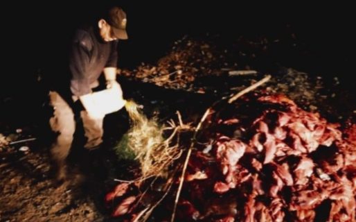 La Policía secuestró y quemó más de 3 mil kilos de guanaco