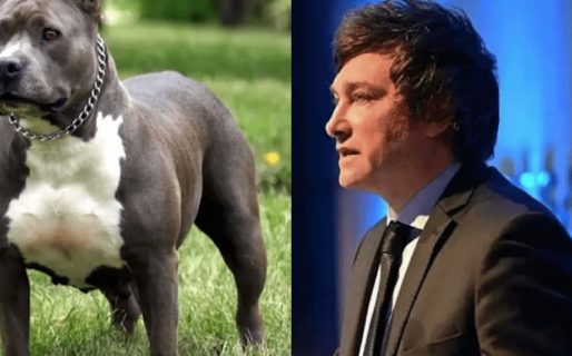 Javier Milei defendió a un perro pitbull que le arrancó el brazo a un ladrón