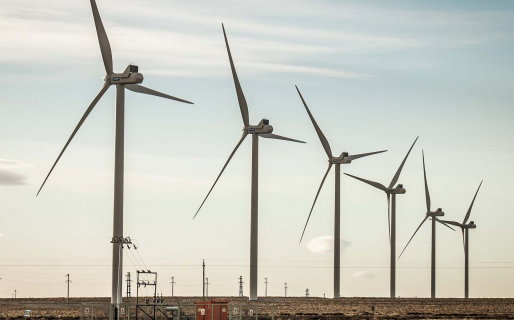 Energía eólica: el experto que explica cómo la Argentina puede tener un parque 100% renovable