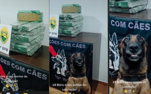 En sensación la cara de orgullo de un perrito tras detectar un cargamento de droga