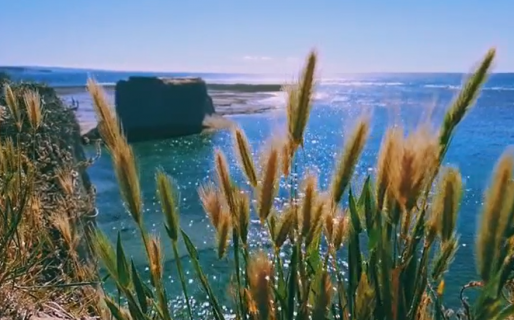 Como sacada de una película: la cinematográfica toma que sorprendió a todos en las redes