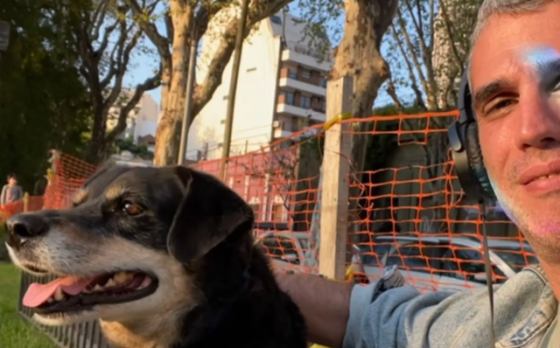 “Si venis conmigo, te entro”: un perro estaba perdido, le hizo una propuesta y se sorprendió
