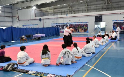 Roberto Palma: “Comodoro está vivo con el Aikido”