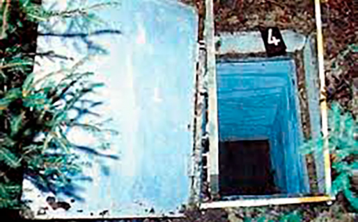 El macabro secuestro de una niña que salió mal: un bosque solitario y una caja bajo tierra donde murió asfixiada