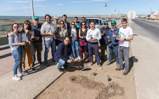 La Municipalidad e YPF Luz concretaron importante plantación de especies nativas