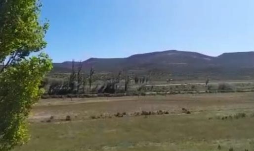 Aseguran que existe una pista clandestina de aviones en Escalante