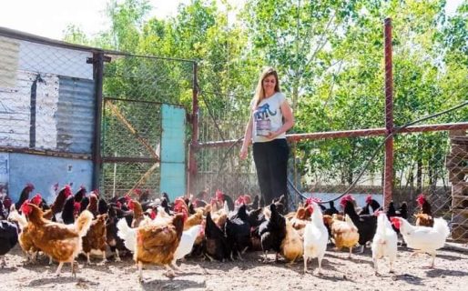 Gran incentivo para la economía local: El próximo 3 de Diciembre inaugurará el 1° Mercado Agropecuario