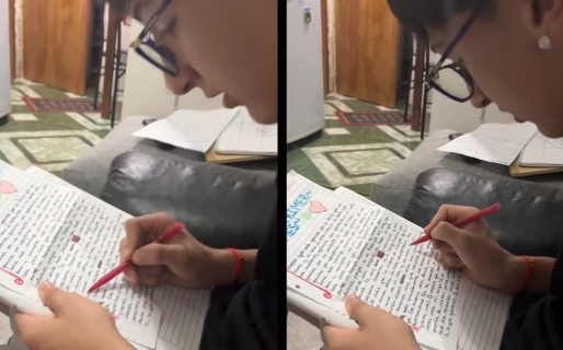 El último romántico: Ella le escribió una carta a su novio y él cuando la recibió se puso a corregirla