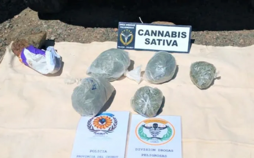 Dara la atrapó con medio kilo de marihuana