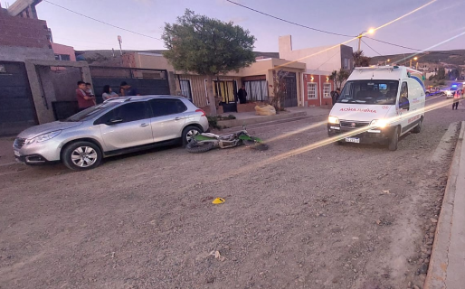 Confuso accidente deja como saldo dos heridos de gravedad y un perro muerto