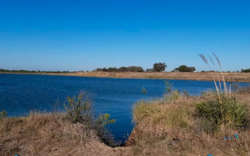 Hallaron a un jubilado asesinado dentro de un tanque de agua: detuvieron al hijo