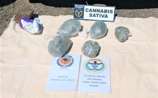 La Policía del Chubut secuestró mil dosis de marihuana en Esquel