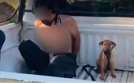Lo detuvo la Policía y su perro lo acompañó en el patrullero