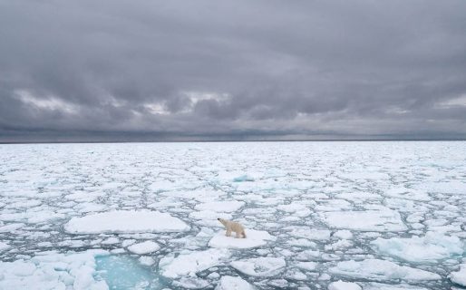 La ONU alertó que los últimos ocho años fueron los más cálidos de la historia