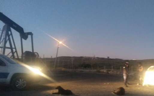 «En ningún momento se incomunicó a los estudiantes, no es nuestra función»