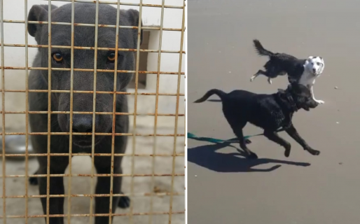 Le buscan hogar a Roberto: “Necesita un milagro, un héroe”