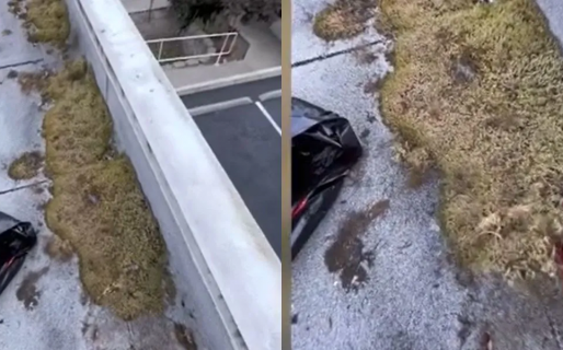 Gana $290.000 por un trabajo “asqueroso” que nadie quiere hacer