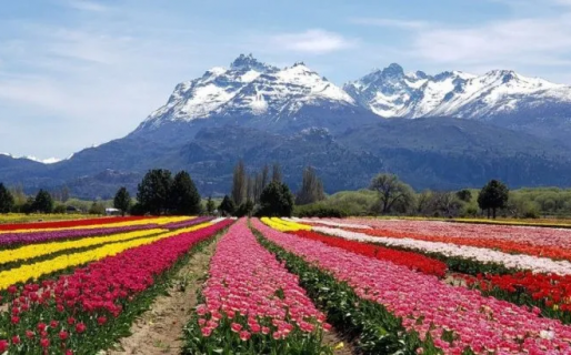 «Trevelin tuvo una ocupación entre el 85% y 95% durante el fin de semana largo»