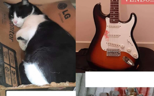 Una comodorense vende su guitarra para pagar la operación de su gato