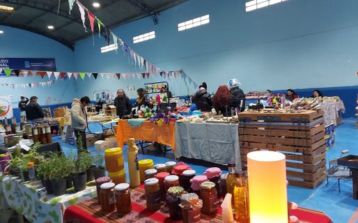 Este fin de semana habrá feria nocturna organizada por Productores y Artesanos de la Agricultura Familiar