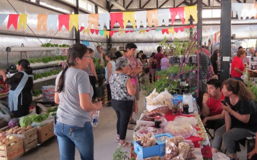 Horarios y días de atención del nuevo Mercado Agropecuario de Km. 17