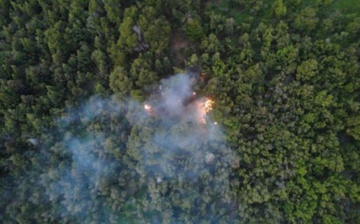 Incendio en el Parque Nacional Los Alerces