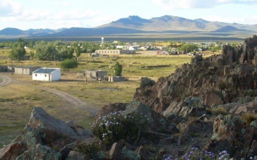 Quisieron espantar a una familia de zorros y terminaron quemando un campo