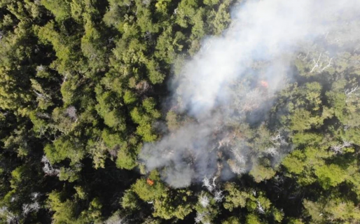 Incendio fuera de control en Los Alerces