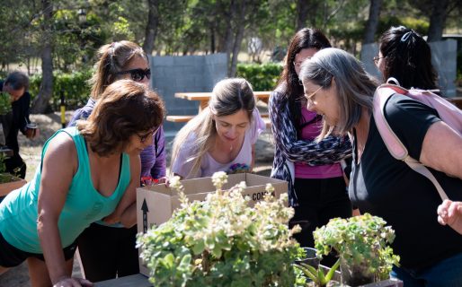 Vuelve Rada Verde: 2° Encuentro de intercambio de plantas, semillas y saberes