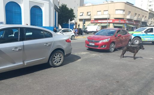 Una mujer resultó herida tras un choque entre dos vehículos