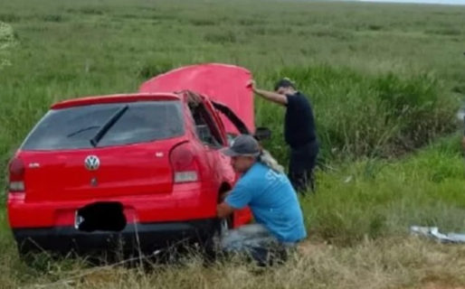 Chocó con un carpincho y murió
