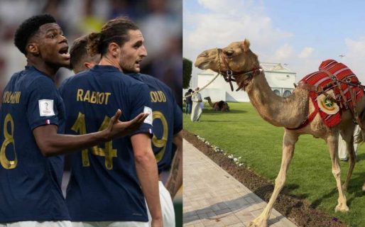 Otros dos jugadores franceses dieron positivo del «virus del camello»