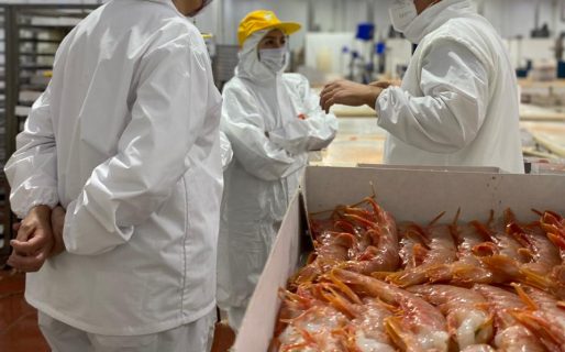 Por segundo año, una empresa de Chubut ganó el Premio Exportar