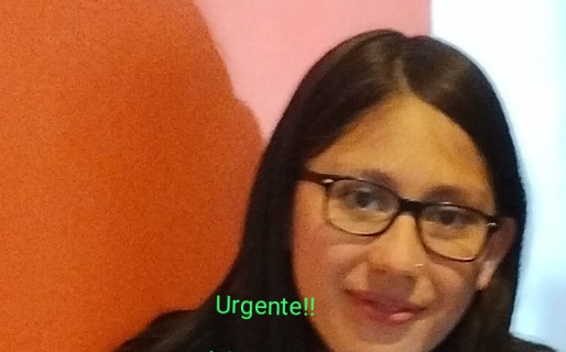 Desaparece una mujer y su familia difunde la búsqueda