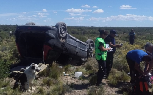 Una pareja volcó camino a Comodoro y su mascota los cuidó hasta que llegó la ambulancia