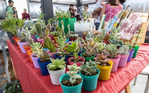 El municipio concretó con éxito la 1° edición de la Feria de la Estepa