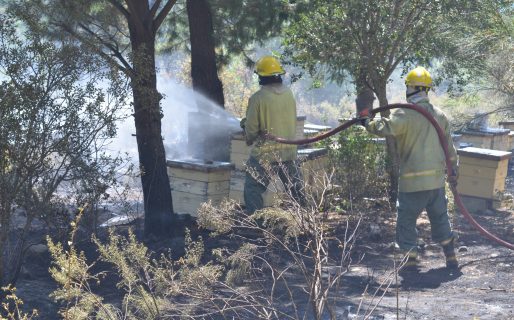 Incendio forestal de interfaz en El Pedregoso