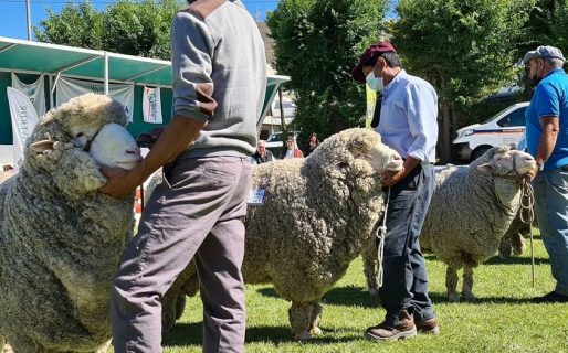 Este fin de semana comienza una nueva edición de la Expo Ganadera de la Sociedad Rural