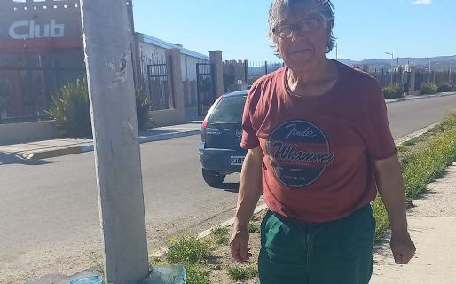 Un abuelo alimenta y se ocupa de los perros callejeros de Standart y Restinga Alí