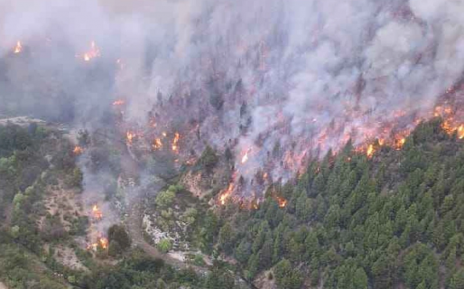 El Bolsón: Las impresionantes imágenes del incendio forestal que ya consumió más de mil hectáreas