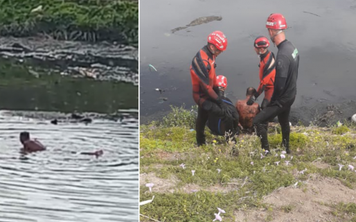 Robó una veterinaria, se fugó por una alcantarilla y terminó en un río de caca líquida