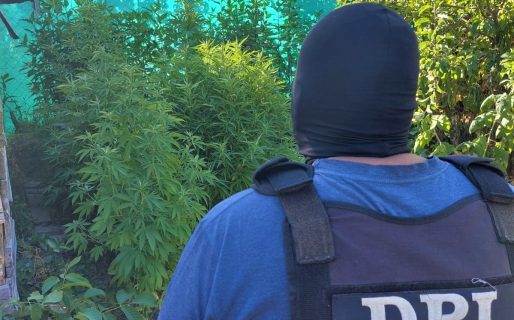 En un gran operativo, la policía secuestró drogas y cartuchos de bala