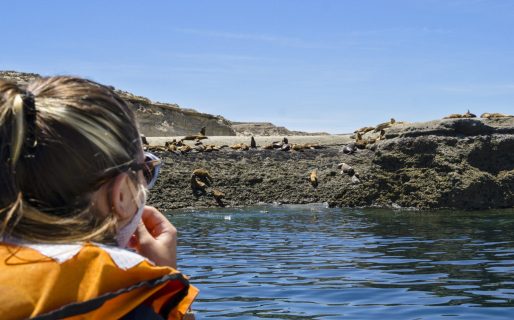 Chubut registró récord de visitas en la ANP Península Valdés y Punta Loma durante el 2022