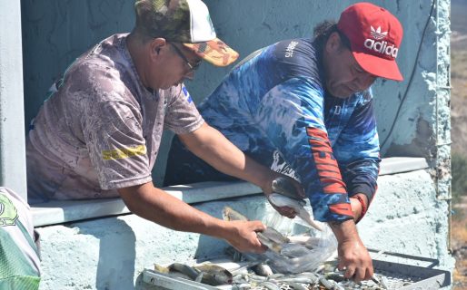 Se realizó la 8º edición de “las 12 horas de pesca variada del sur argentino” en Bahía Solano